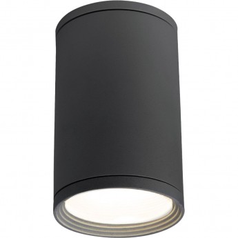 Накладной влагозащищенный светильник ELEKTROSTANDARD LIGHT 2101 IP65 35128/H серый Накладной влагозащищенный светильник ELEKTROSTANDARD LIGHT 2101 IP65 35128/H серый