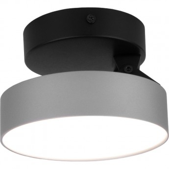 Светильник ELEKTROSTANDARD Pila серебро 12W 4200К (25135/LED)